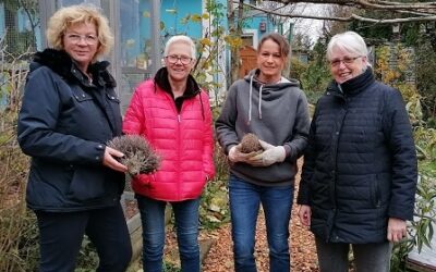 Mit Spende die Igelhilfe unterstützt